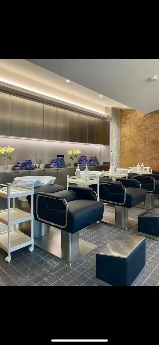 Brand new Hair wash Station - Image 2