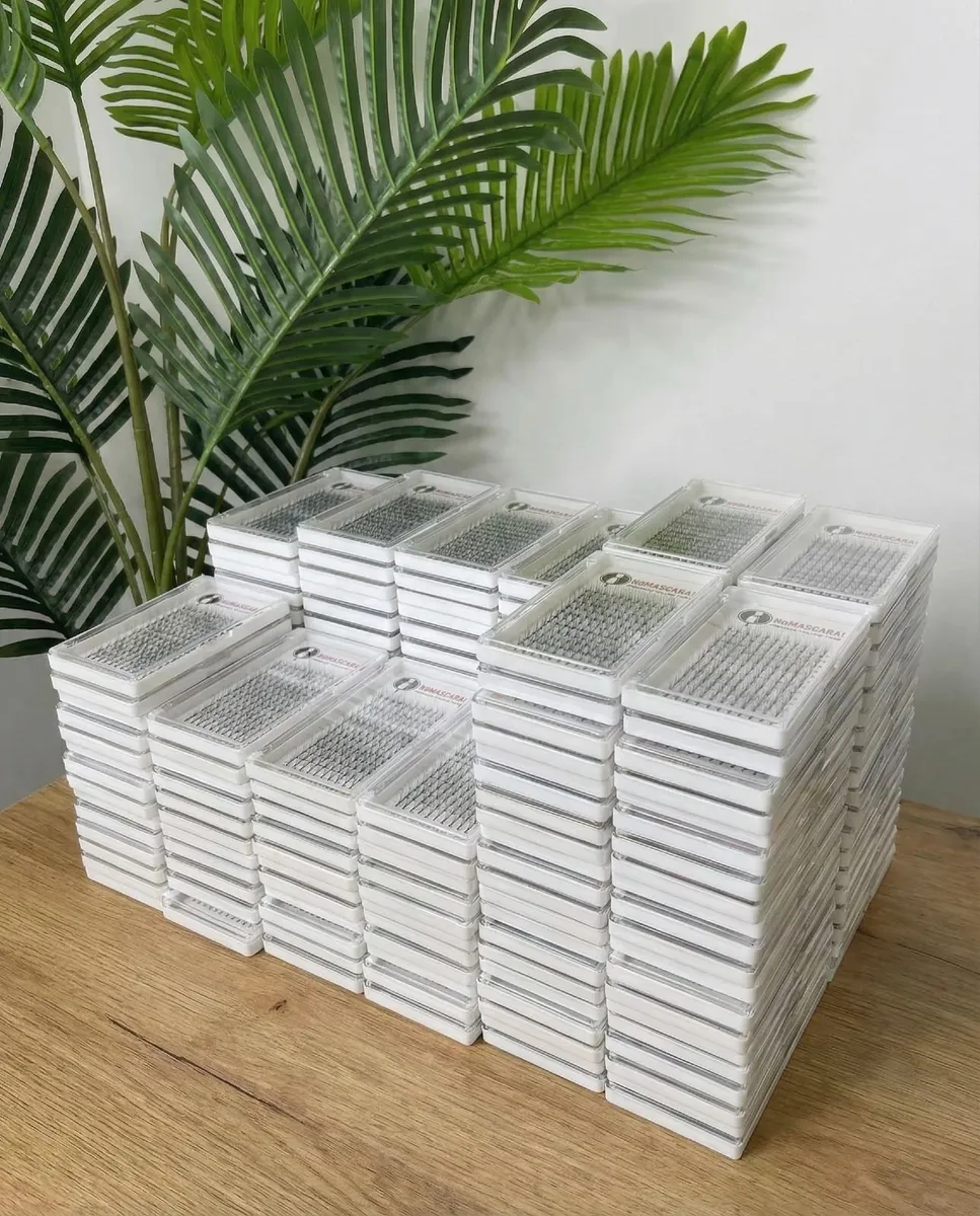 Pre Made Fan Lashes - Image 1