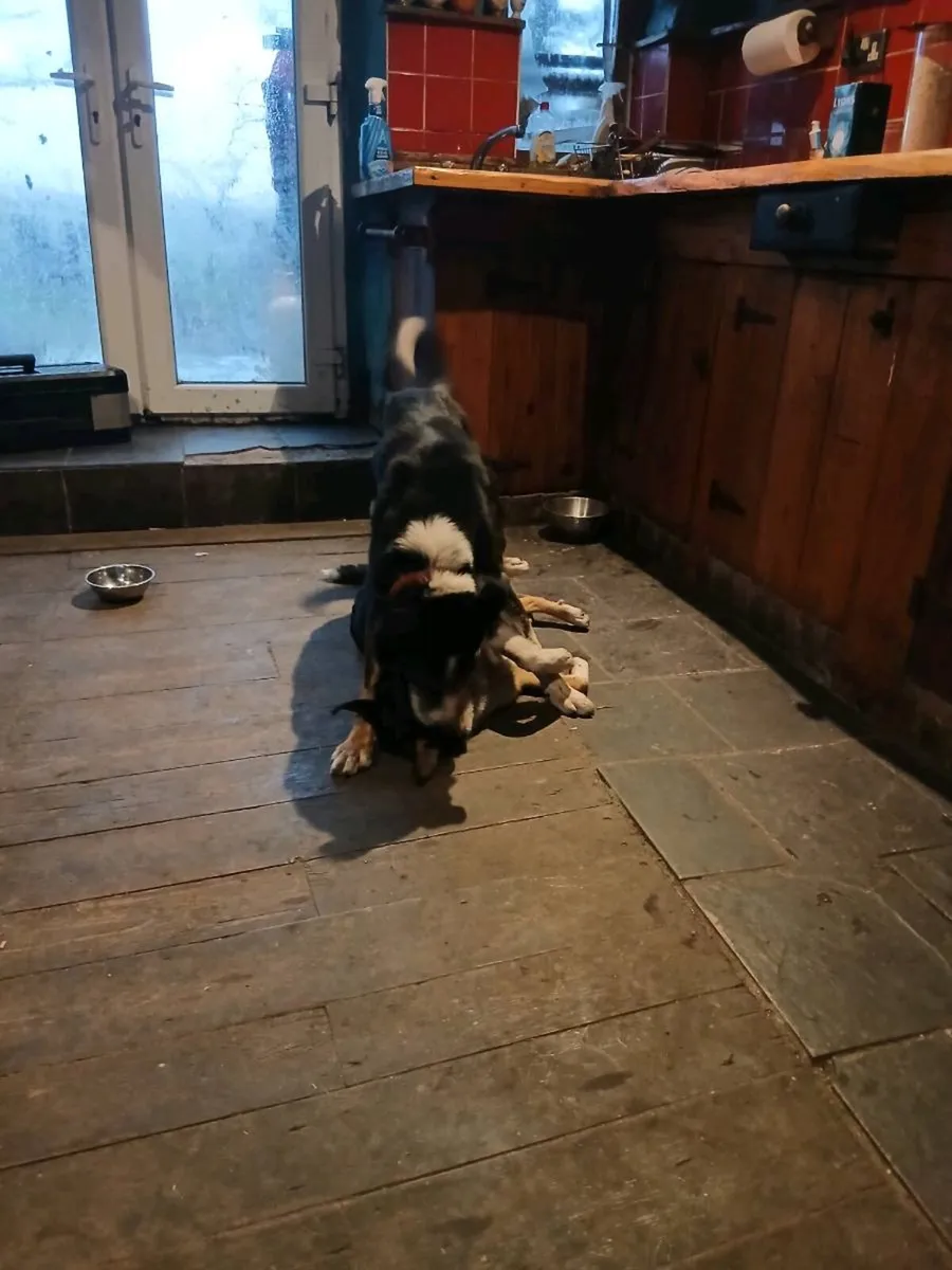 Wooden flooring   reclaimed - Image 4