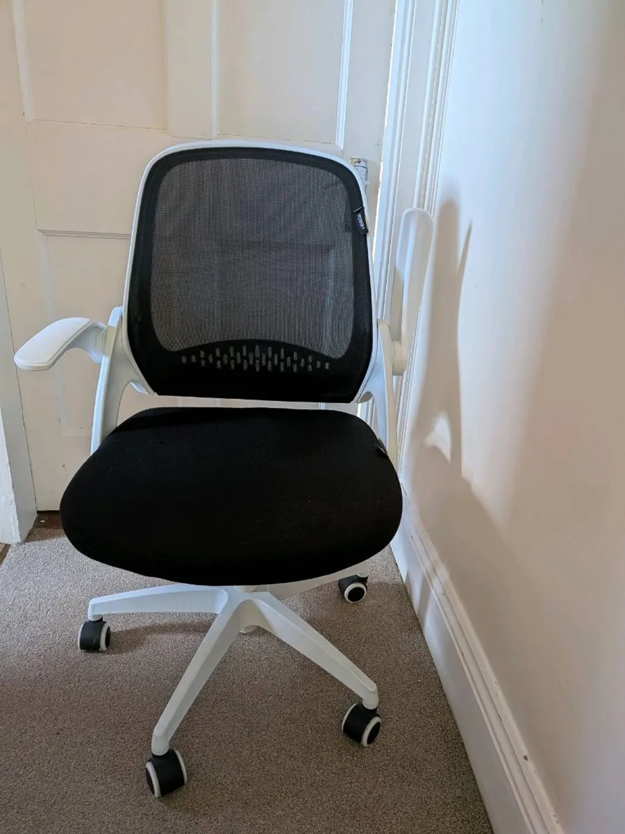 Office Chair - Image 1