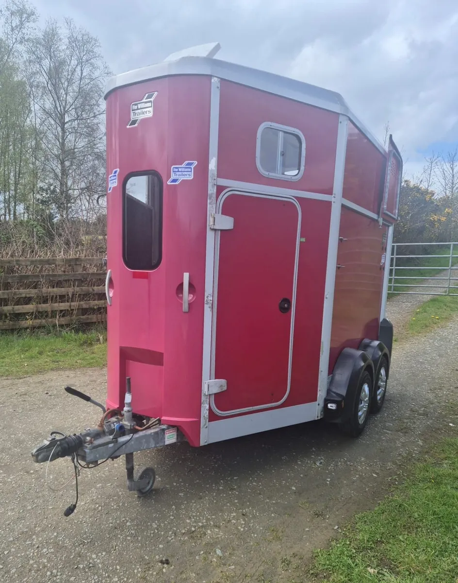 Ifor Williams 506 Horsebox - Image 4
