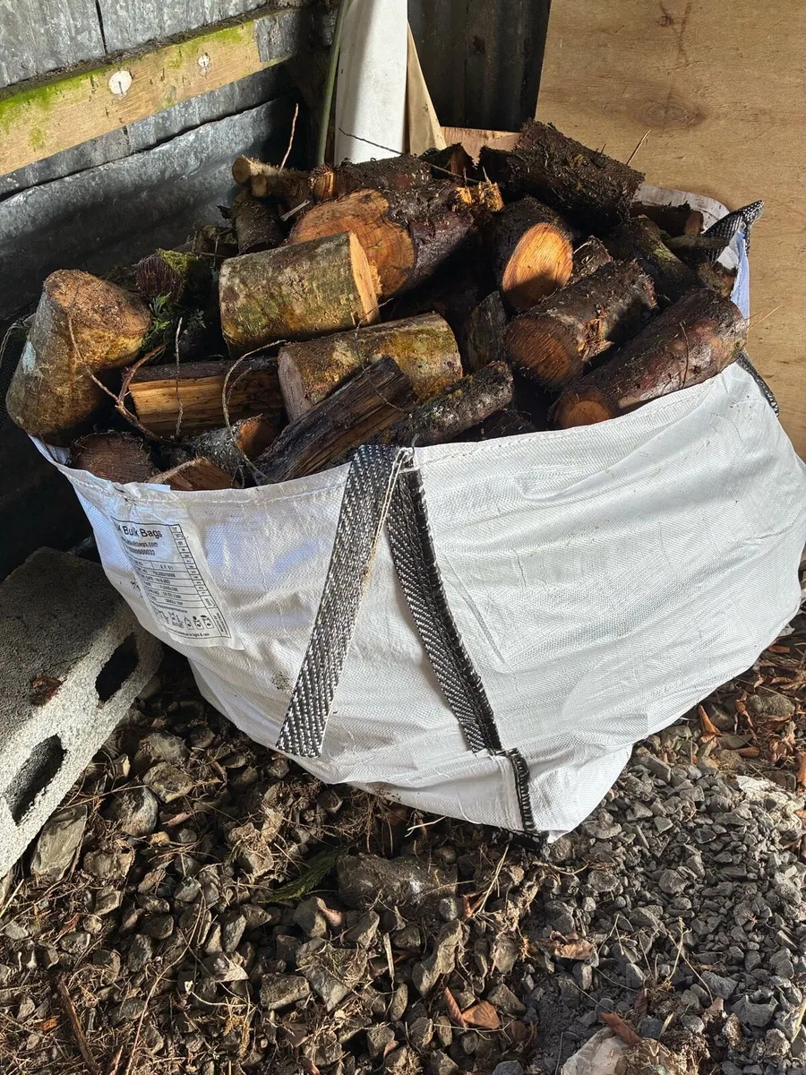Fire Wood - Image 2
