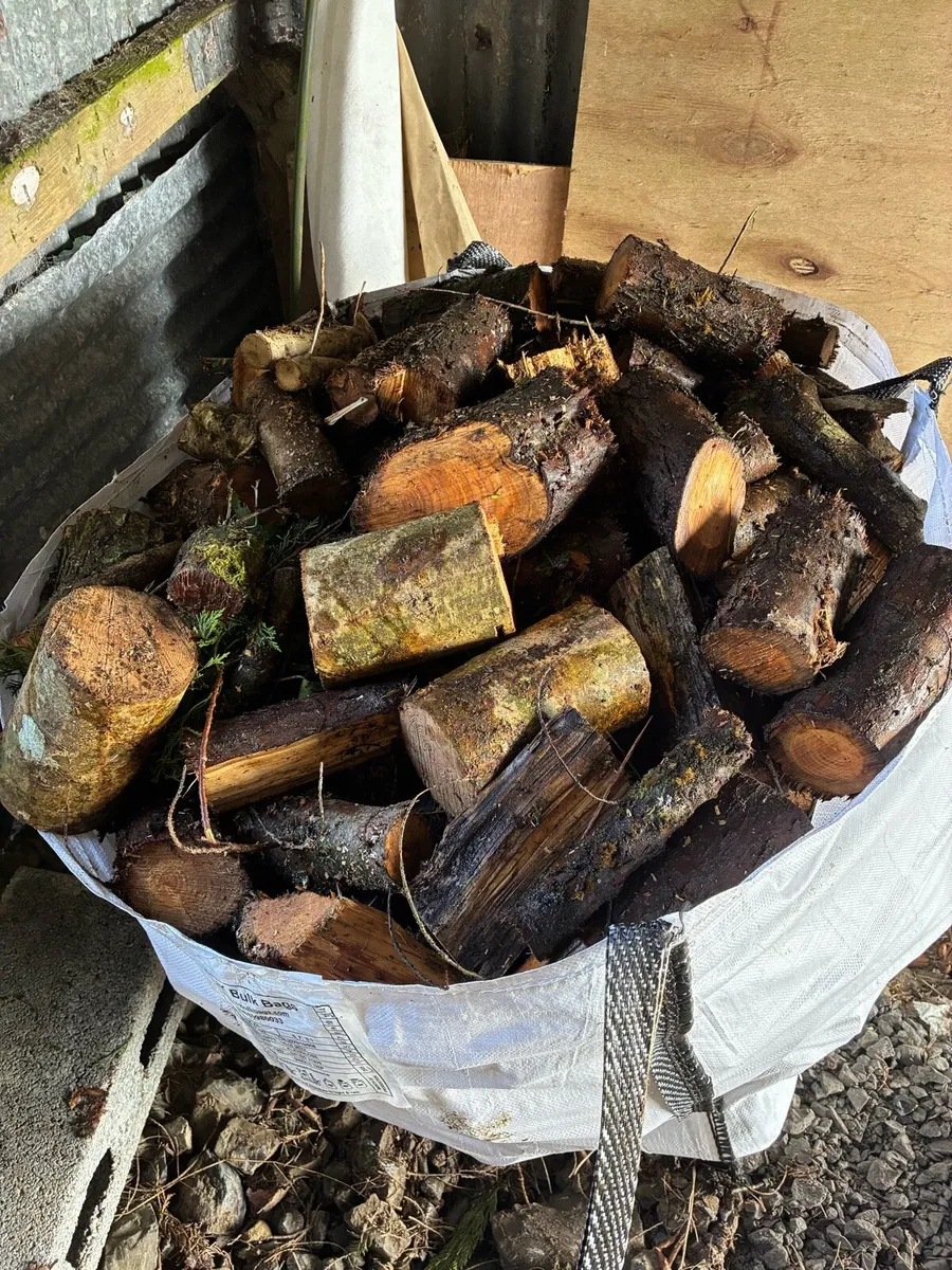 Fire Wood - Image 1