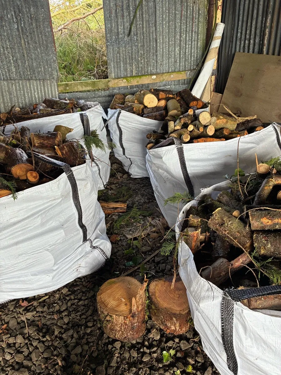 Fire Wood - Image 3