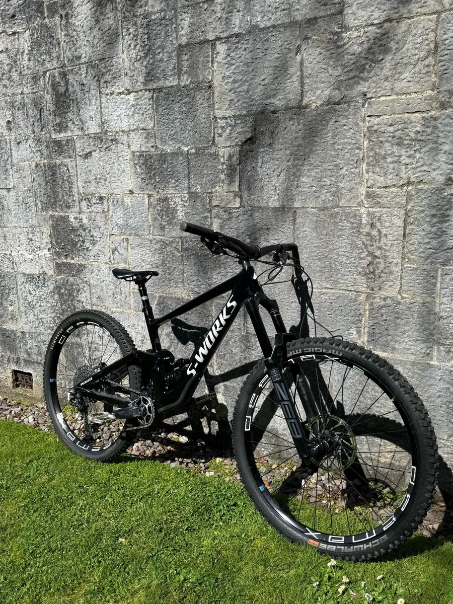 S works Enduro - Image 4
