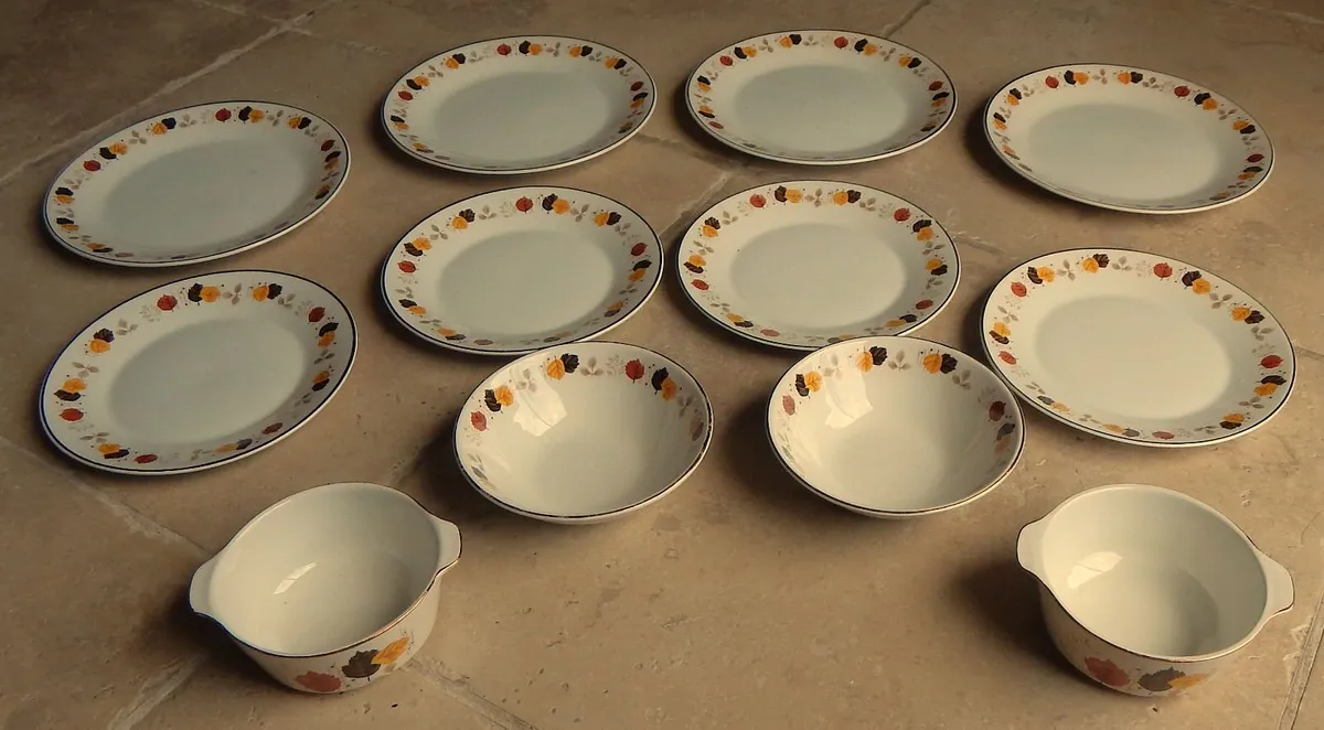 12 Pieces Vintage Arklow Ironstone Dinnerware - Image 1