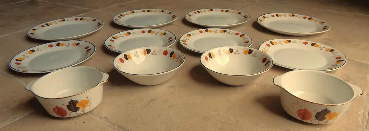 12 Pieces Vintage Arklow Ironstone Dinnerware - Image 2