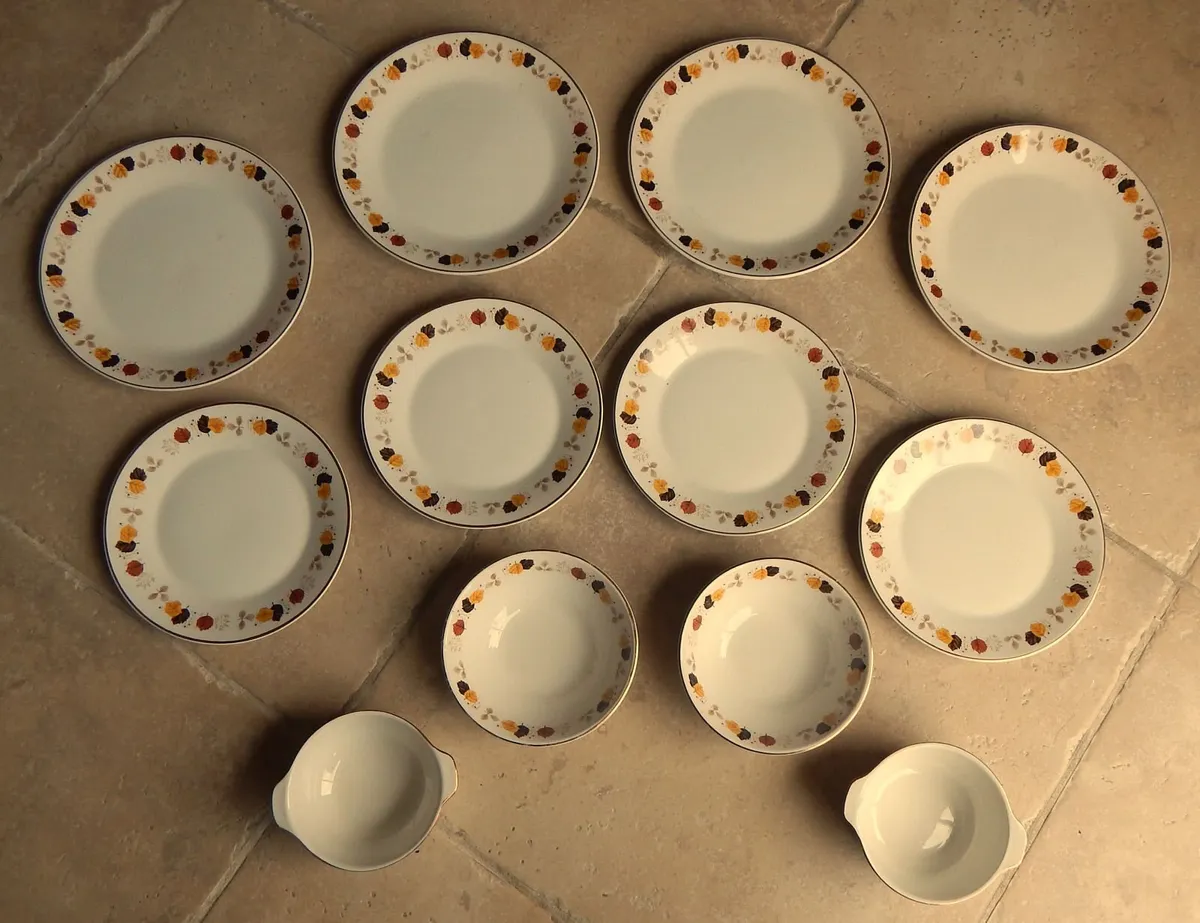 12 Pieces Vintage Arklow Ironstone Dinnerware - Image 3
