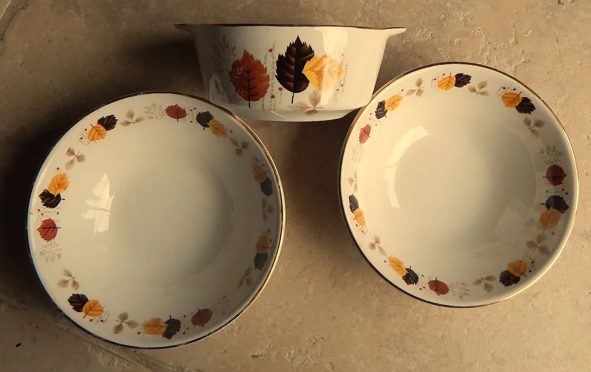 12 Pieces Vintage Arklow Ironstone Dinnerware - Image 4