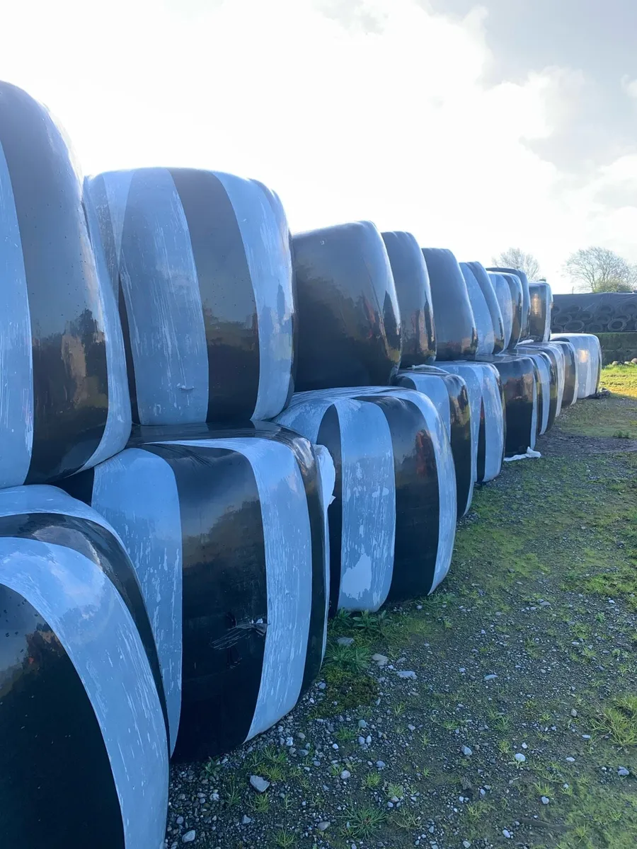 Round bale silage and haylage - Image 1