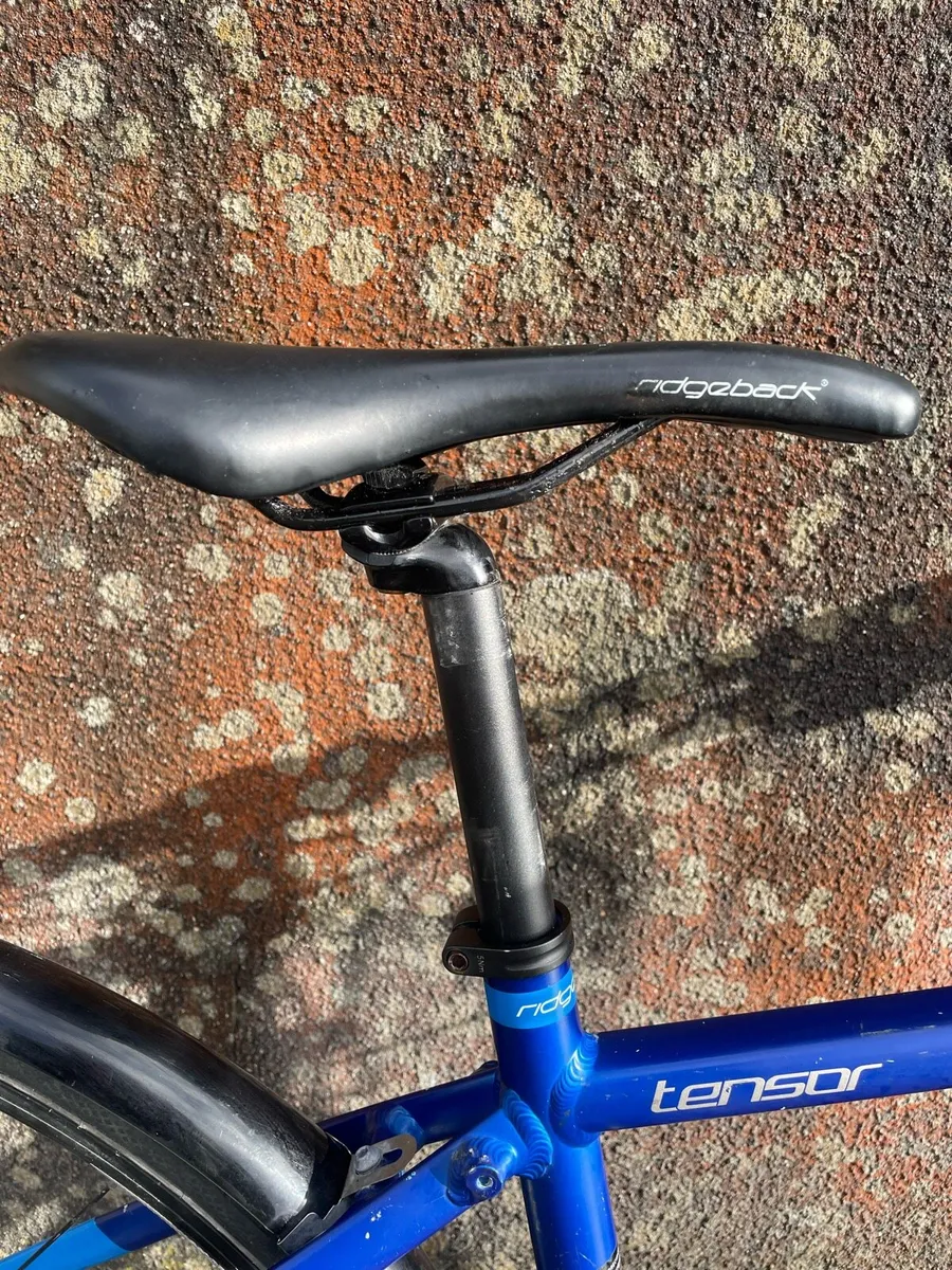 Adult Bike Ridgeback Tensor - Image 4