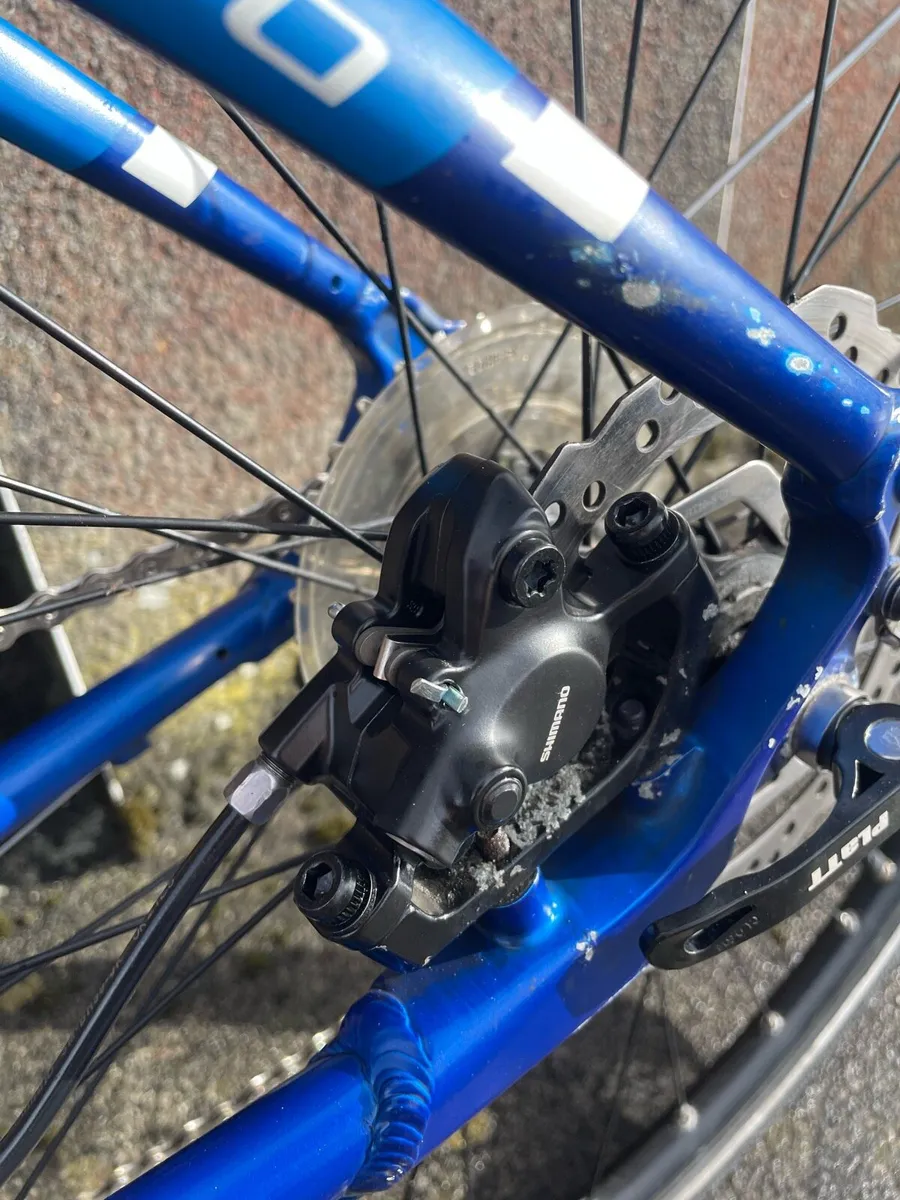 Adult Bike Ridgeback Tensor - Image 2