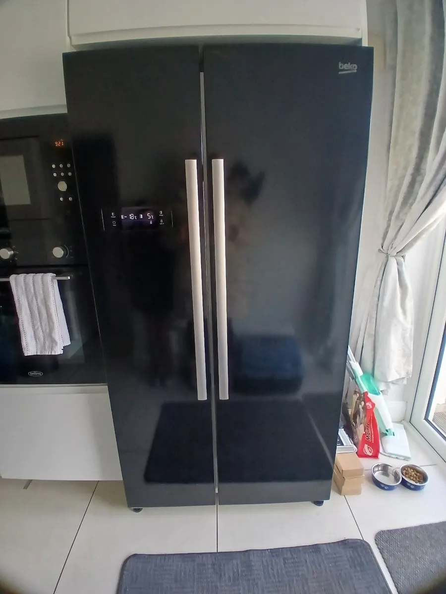 American Fridge/Freezer - Image 1