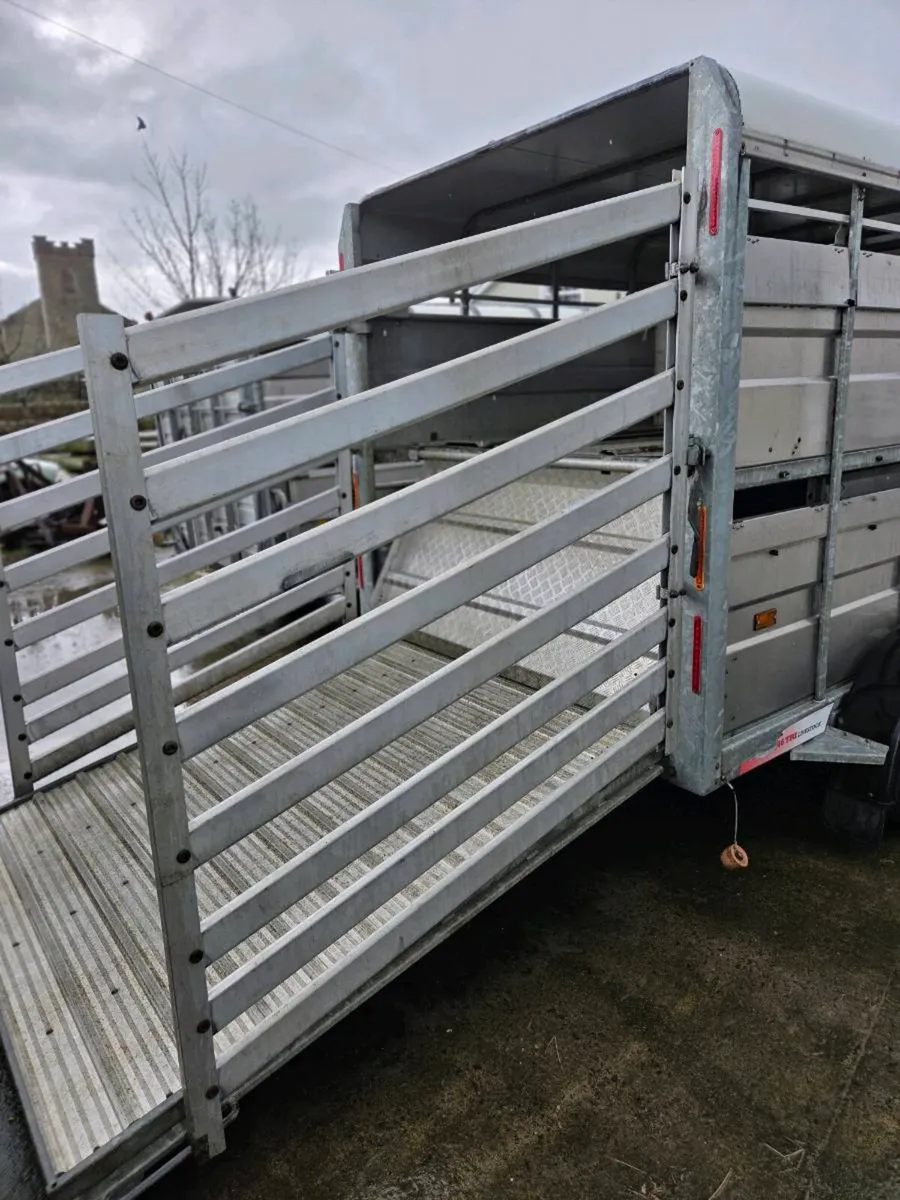 14ft x 6 Hudson with decks - Image 3