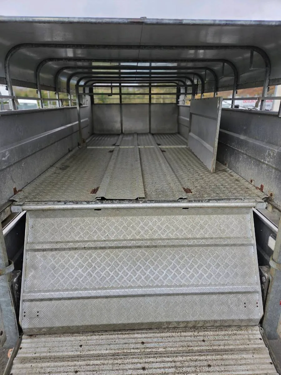 14ft x 6 Hudson with decks - Image 4