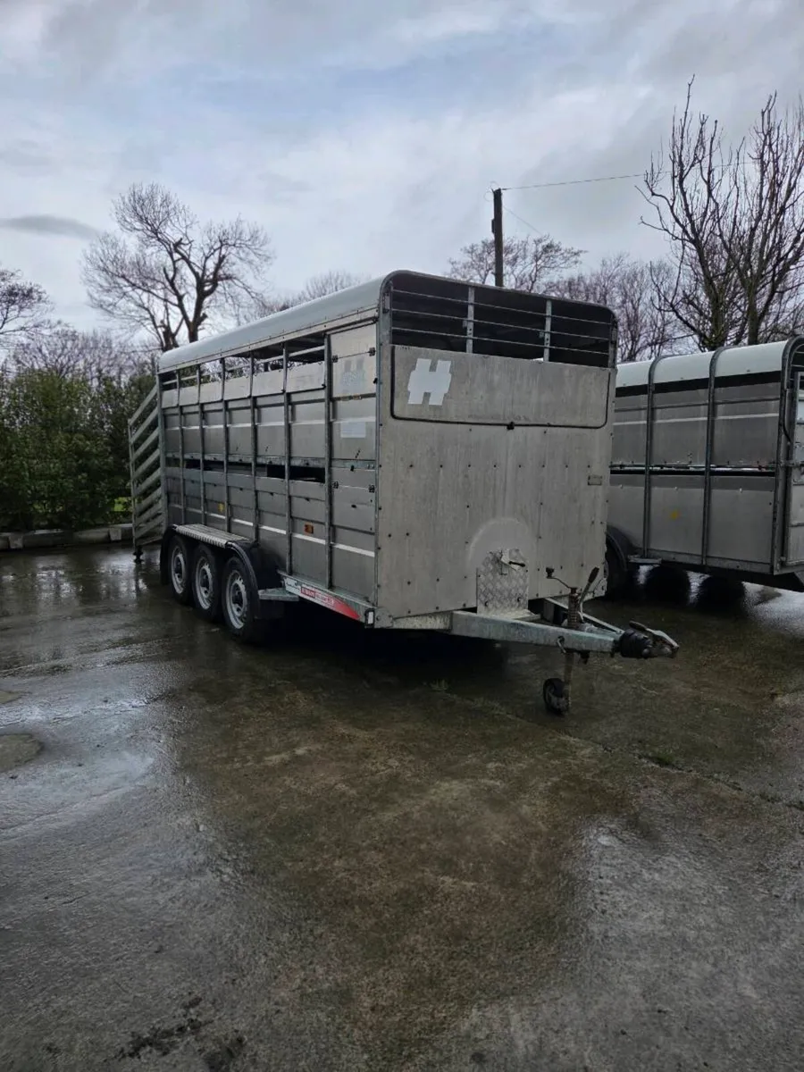 14ft x 6 Hudson with decks - Image 1