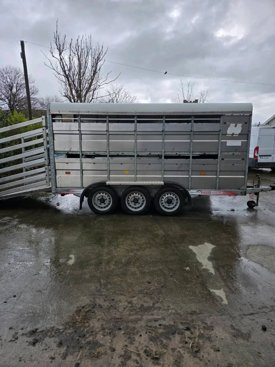 14ft x 6 Hudson with decks - Image 2