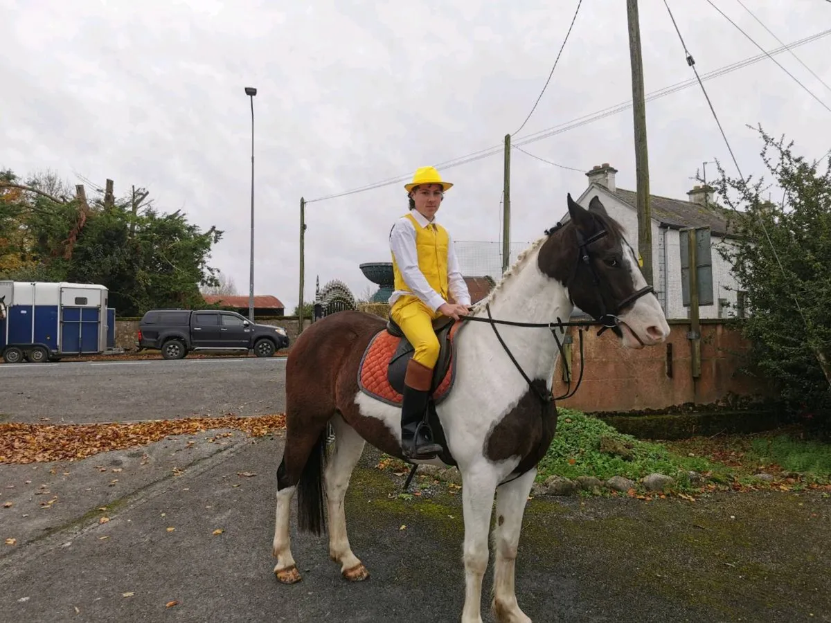 Flashy Cob - Image 3