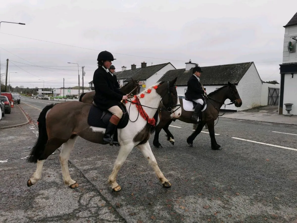 Flashy Cob - Image 1