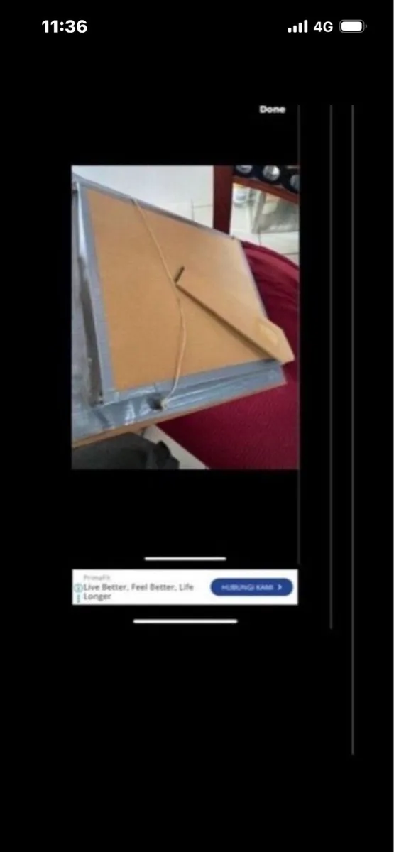 3 D Clown Pucture- Rabbit out of a hat - Image 3