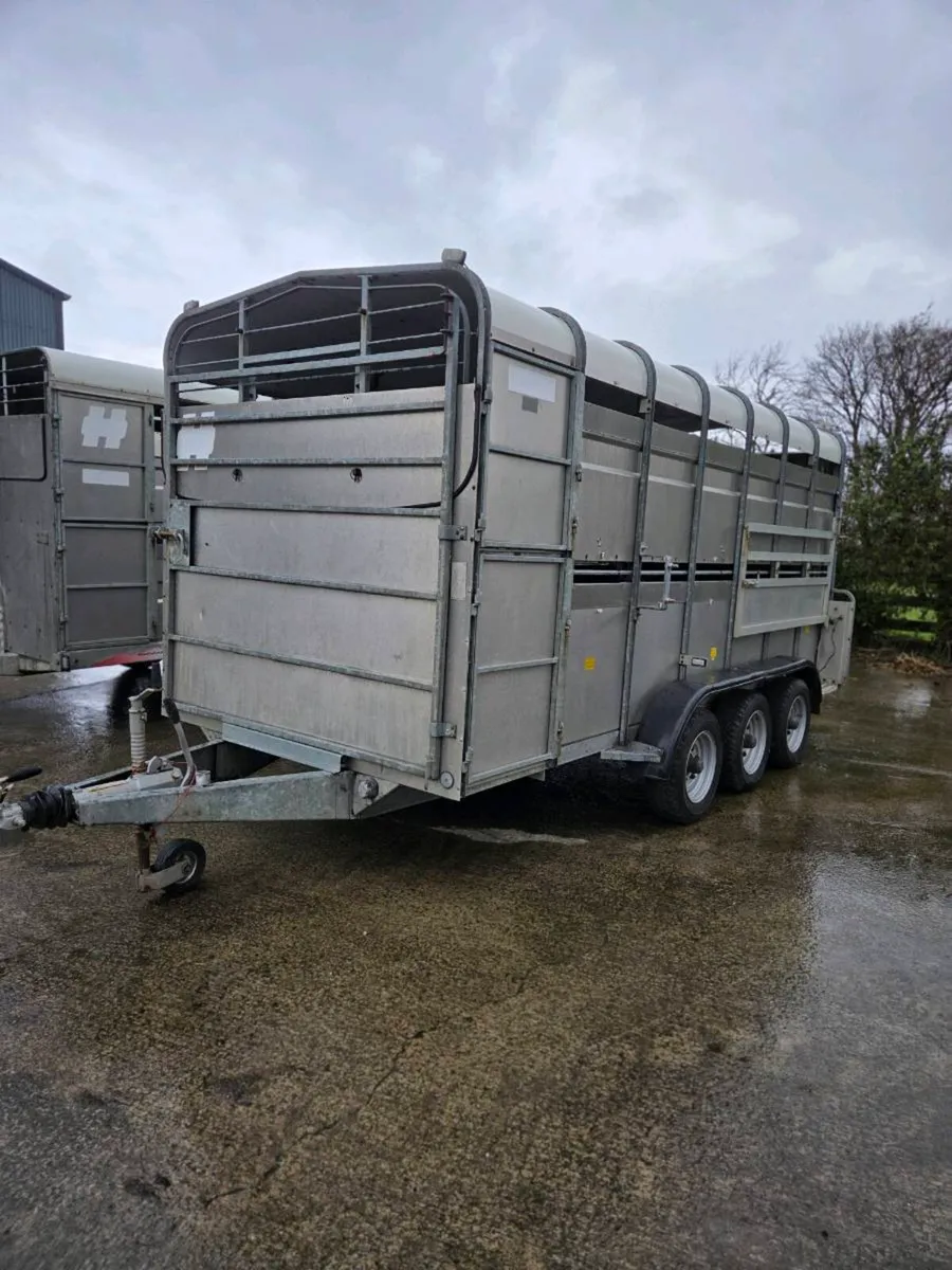 14ftx6 Hudson with decks - Image 4