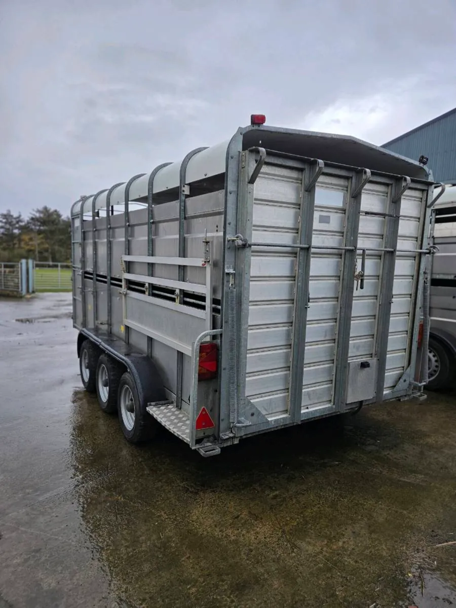 14ftx6 Hudson with decks - Image 2