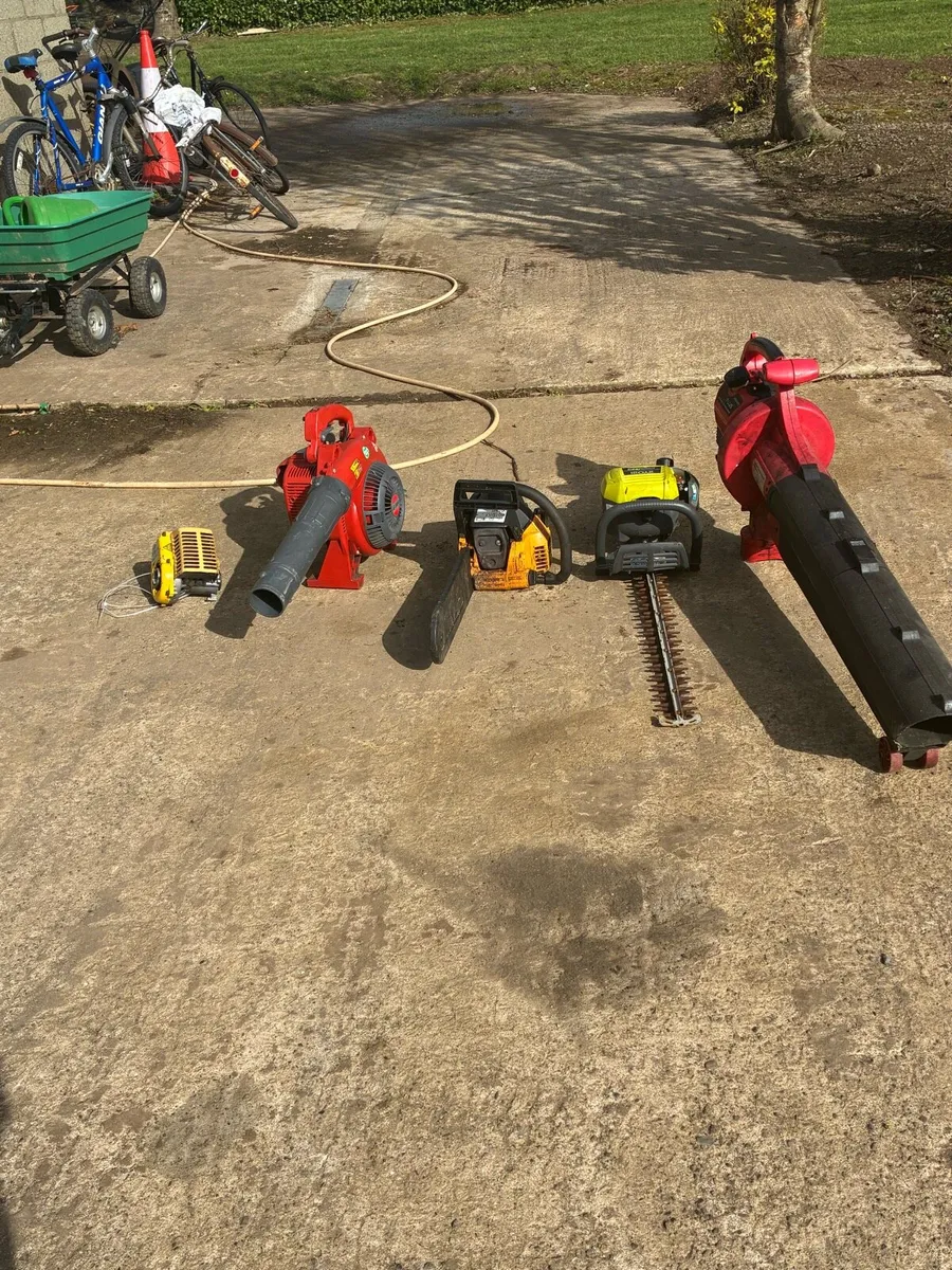 Chainsaw leaf blower strimmer hedge cutter job lot - Image 2