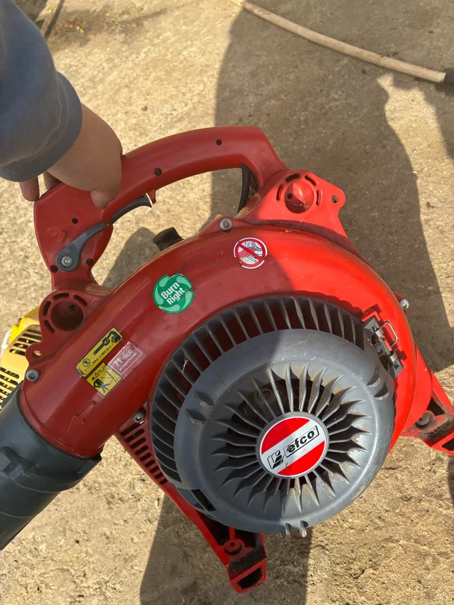 Chainsaw leaf blower strimmer hedge cutter job lot - Image 3