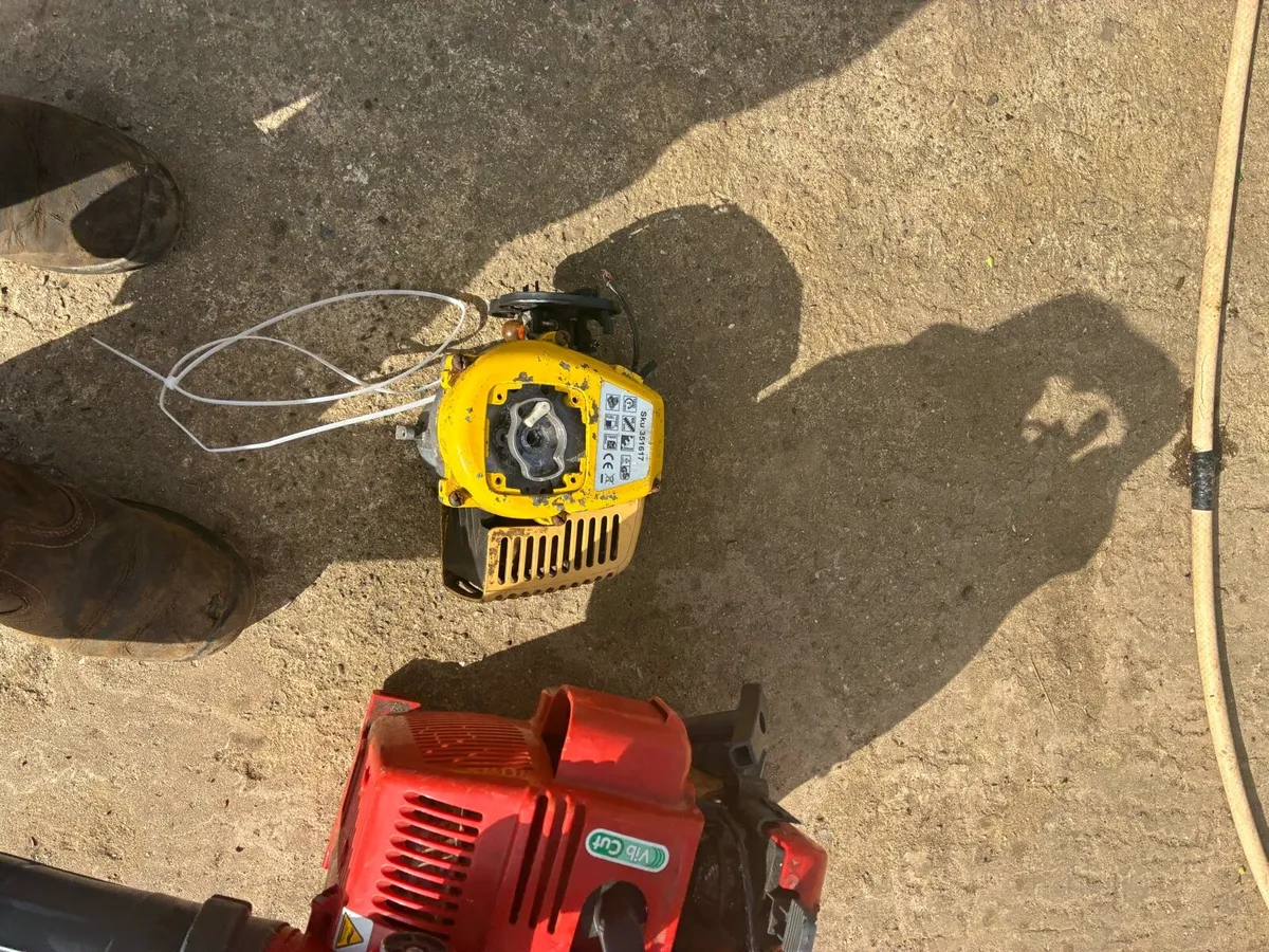 Chainsaw leaf blower strimmer hedge cutter job lot - Image 4