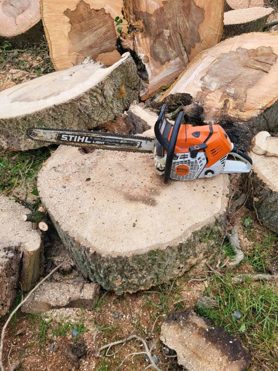 Gardening and tree work - Image 1
