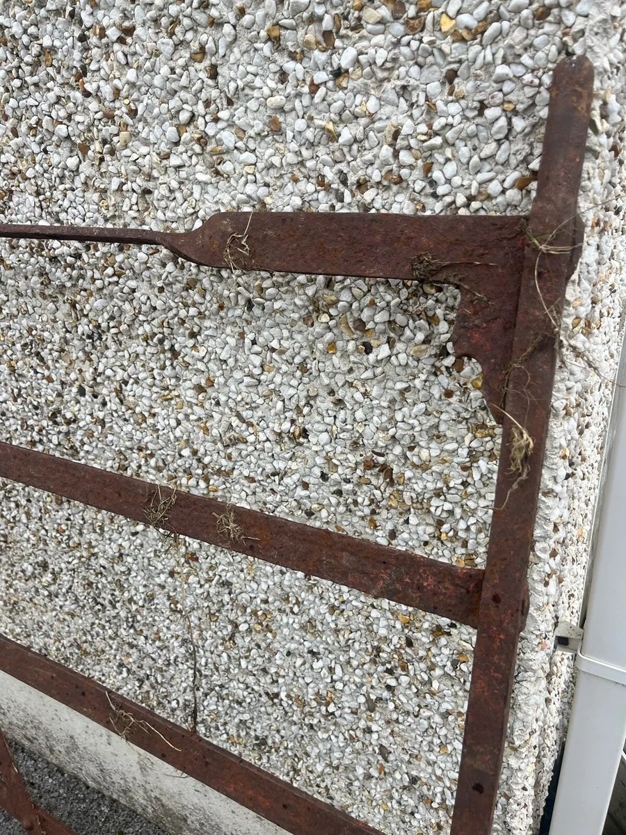 Wrought iron blacksmiths gate hand fordged - Image 3