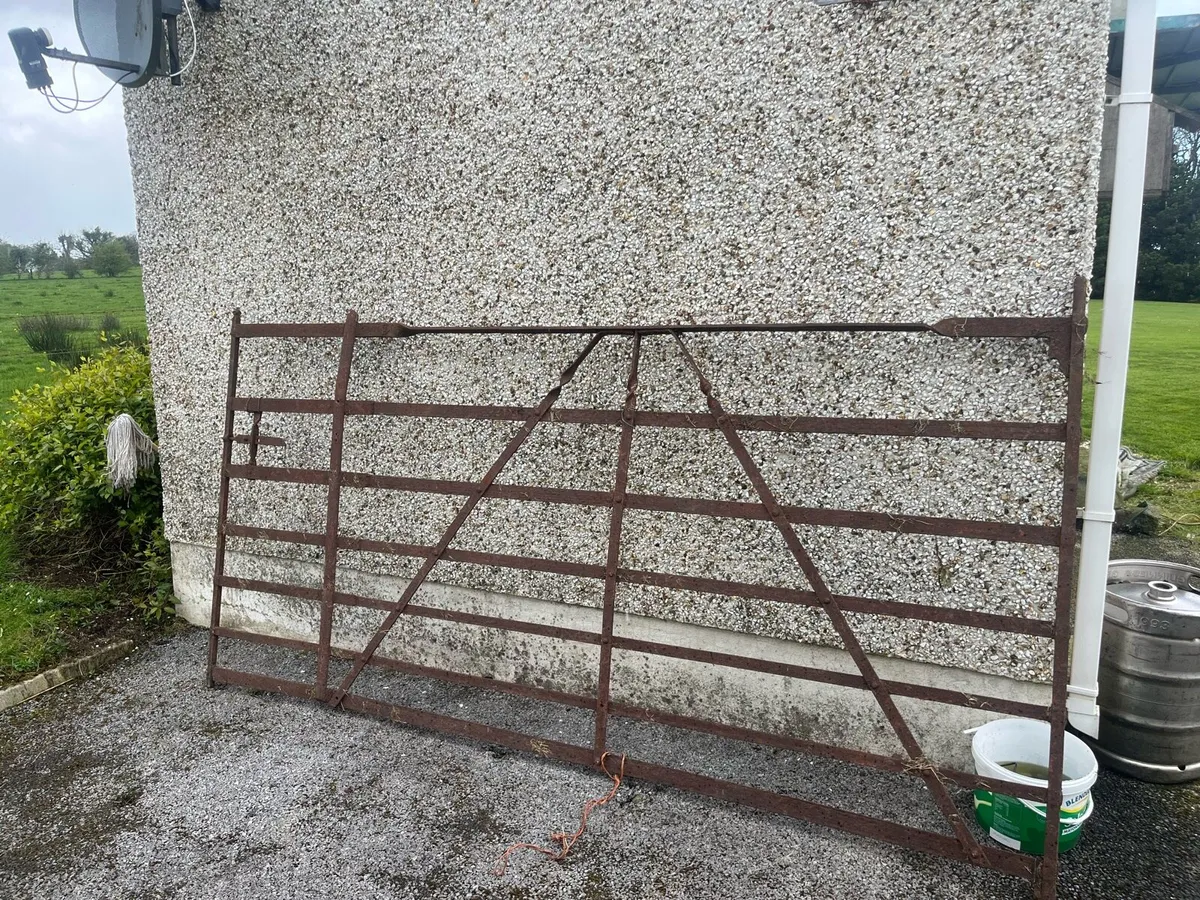 Wrought iron blacksmiths gate hand fordged - Image 1