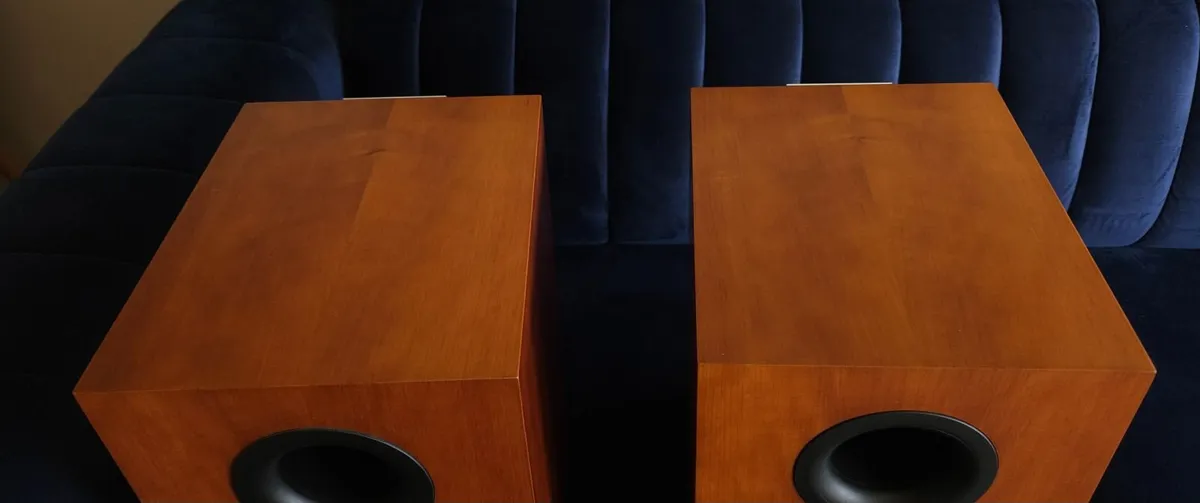 Audiovector Mi1 Avantgarde speakers - Image 4