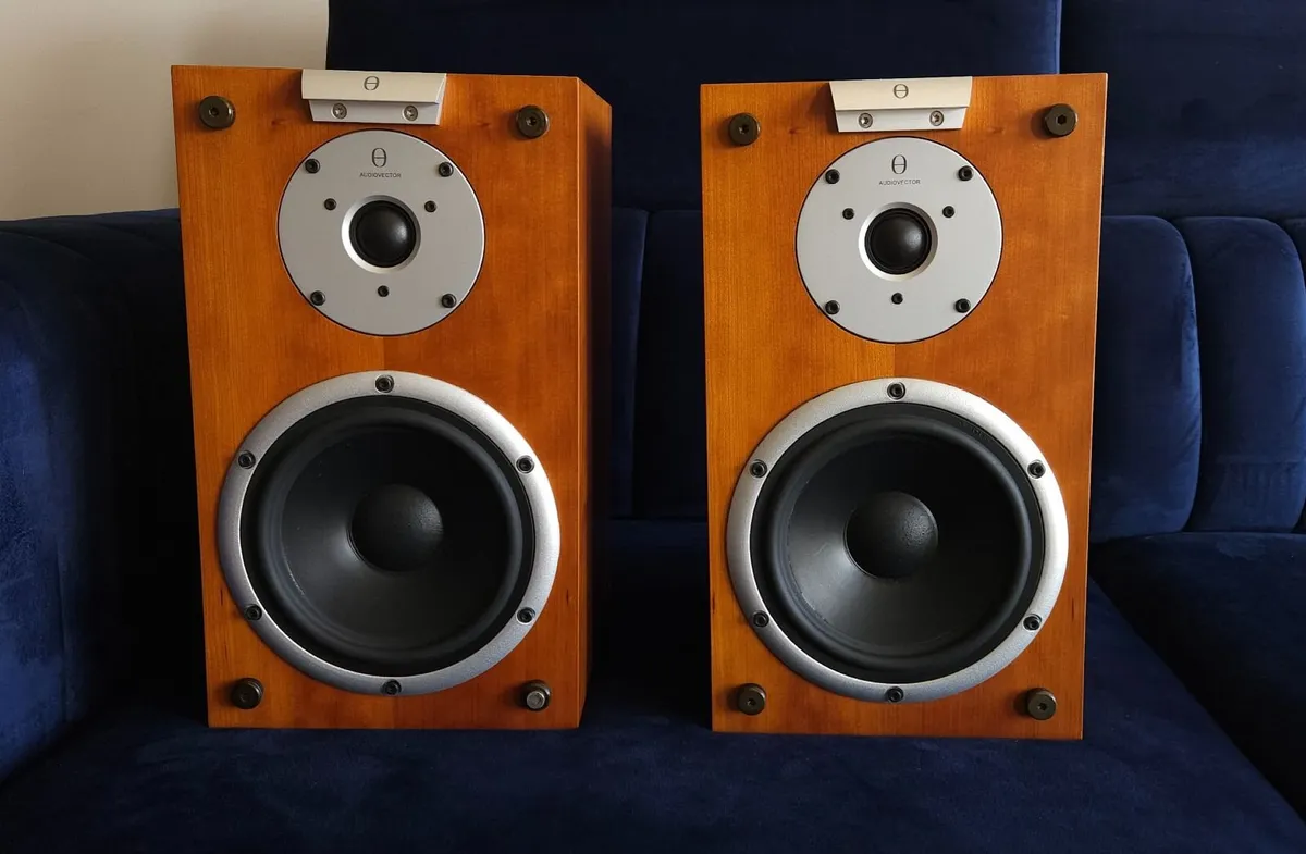 Audiovector Mi1 Avantgarde speakers - Image 2