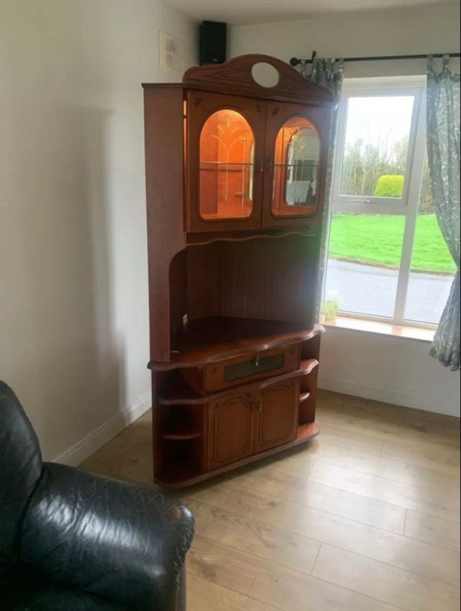 Corner cabnit - Image 2