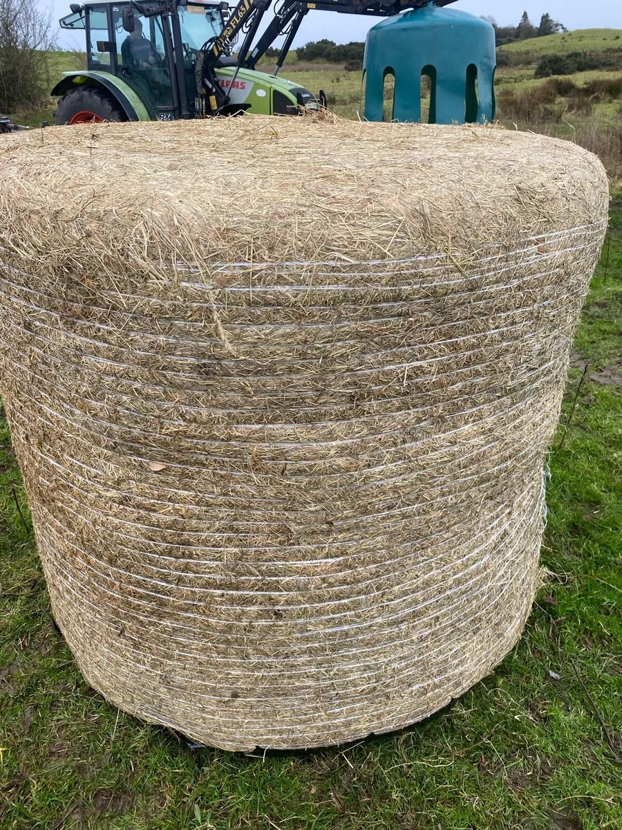 Silage/haylage - Image 2