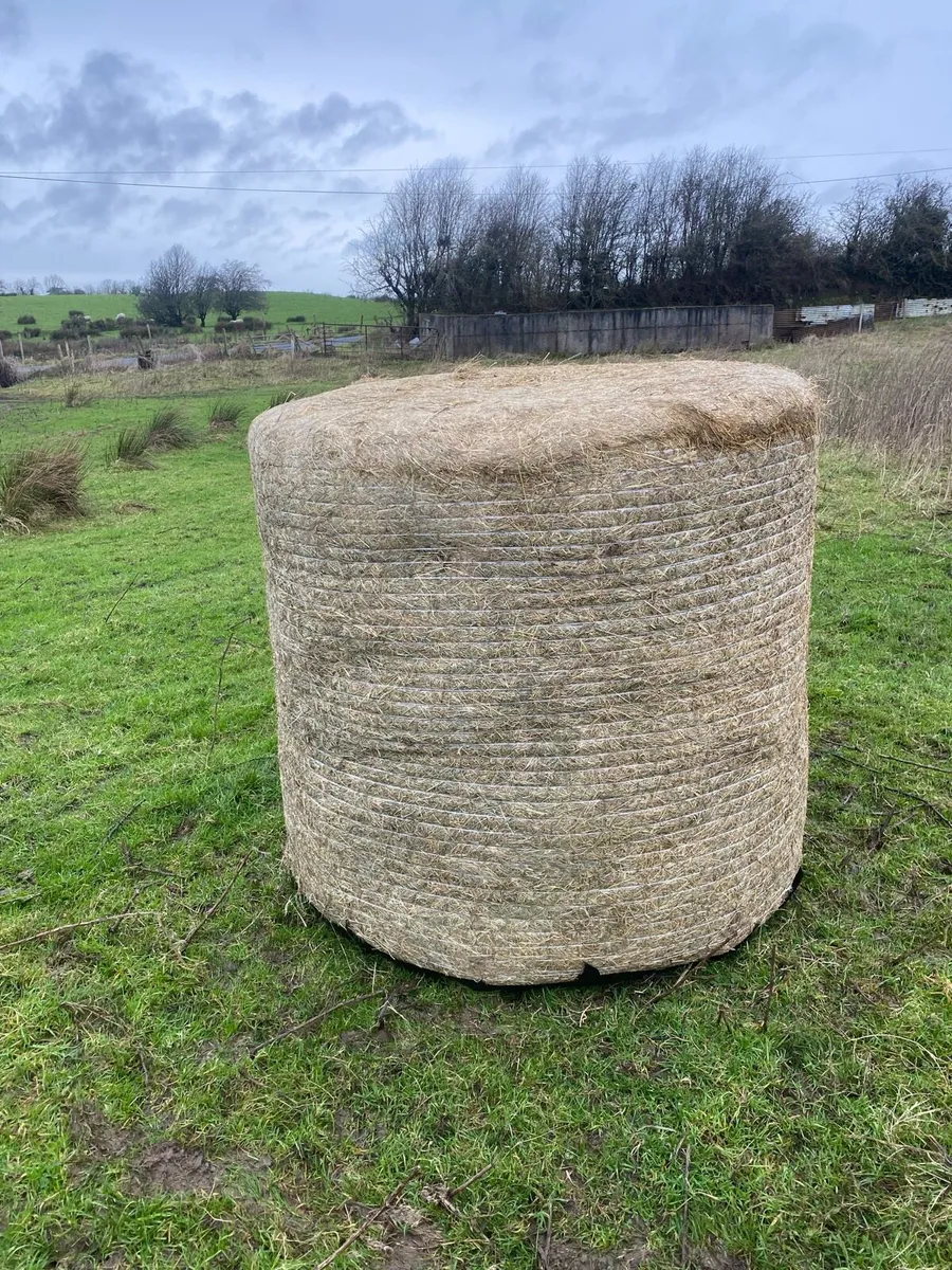 Silage/haylage - Image 4