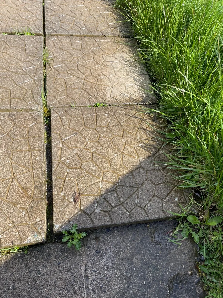 Paving Slabs - Image 3
