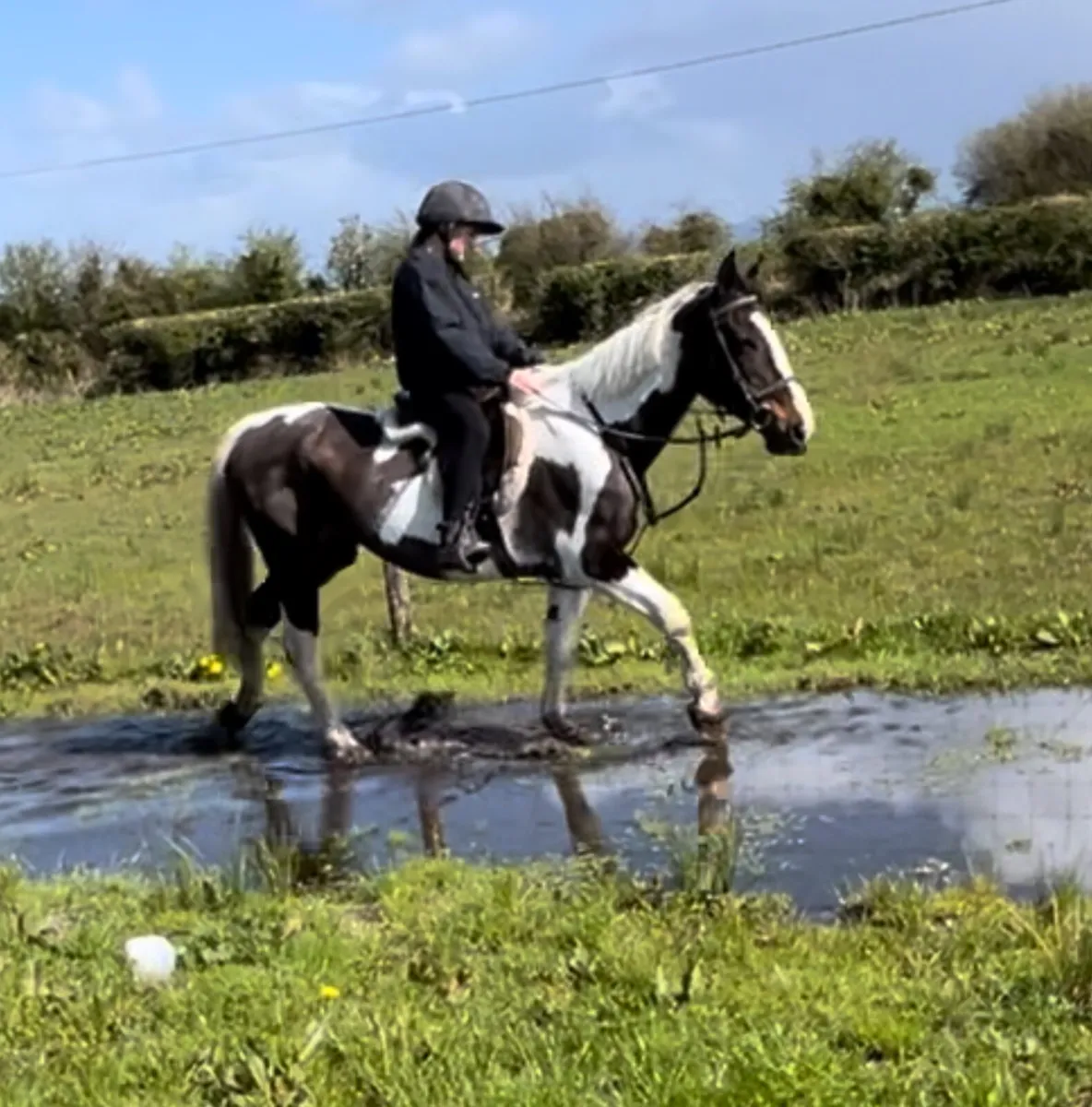 14.2 kids pony - Image 2