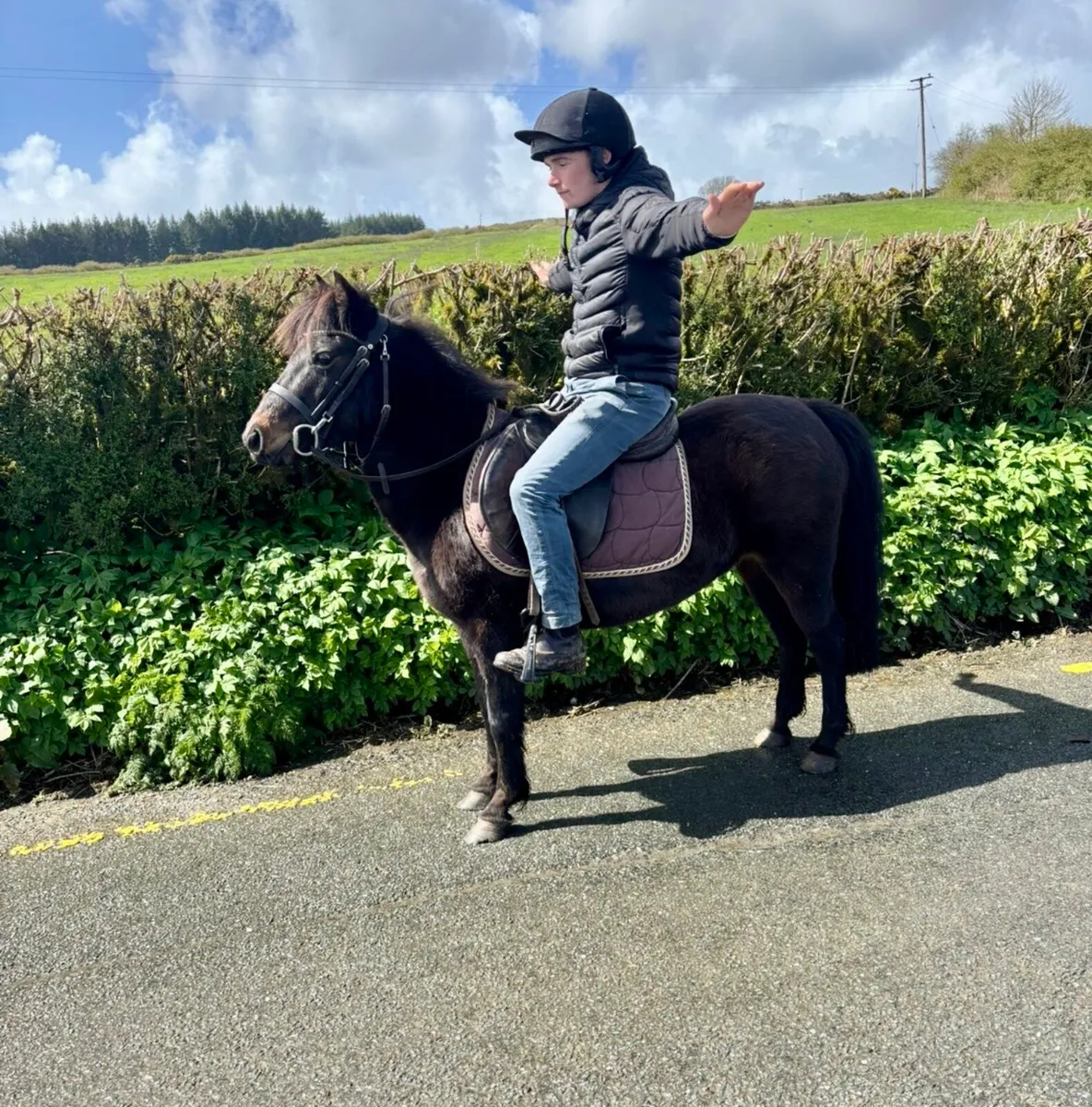 Perfect begginers pony - Image 2