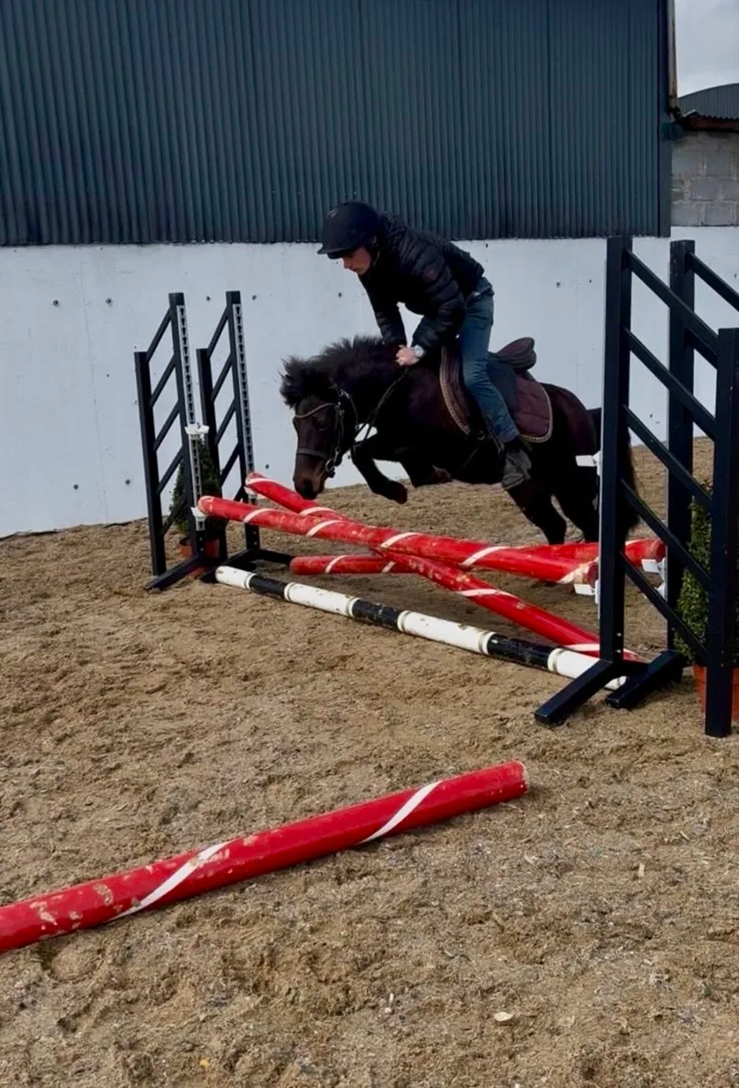 Perfect begginers pony - Image 4