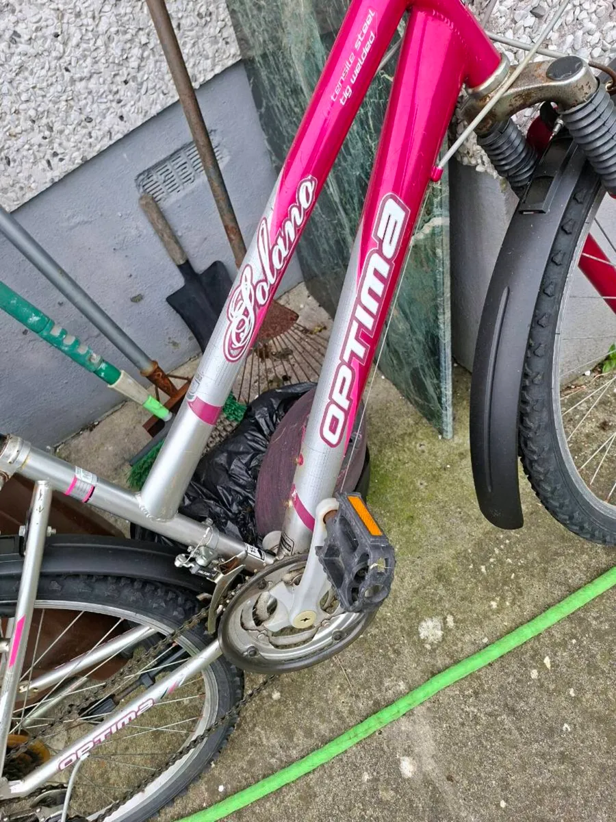 Ladies mountain bike - Image 2