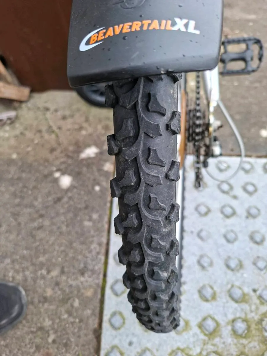 Ladies mountain bike - Image 3