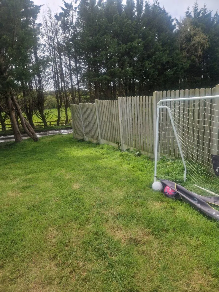 Fence panels - Image 1