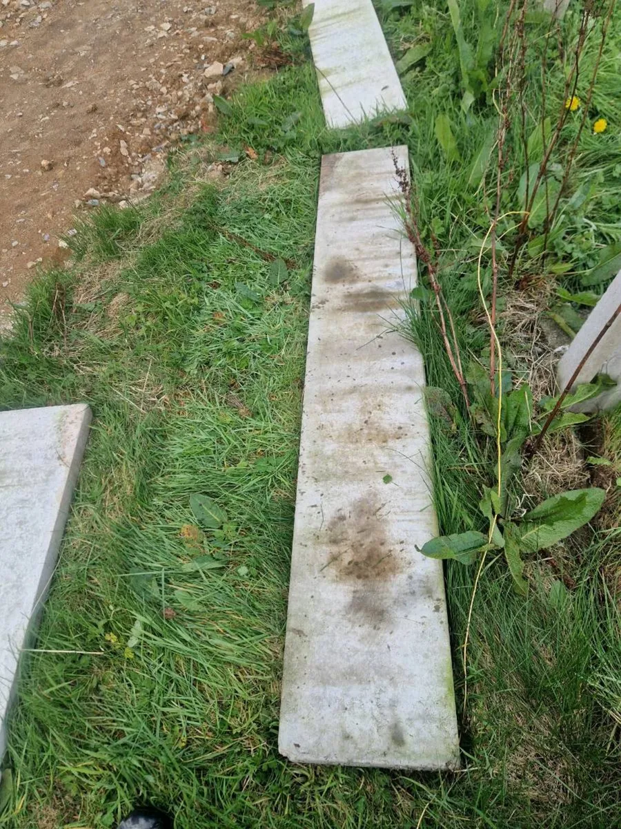 Fence panels - Image 3