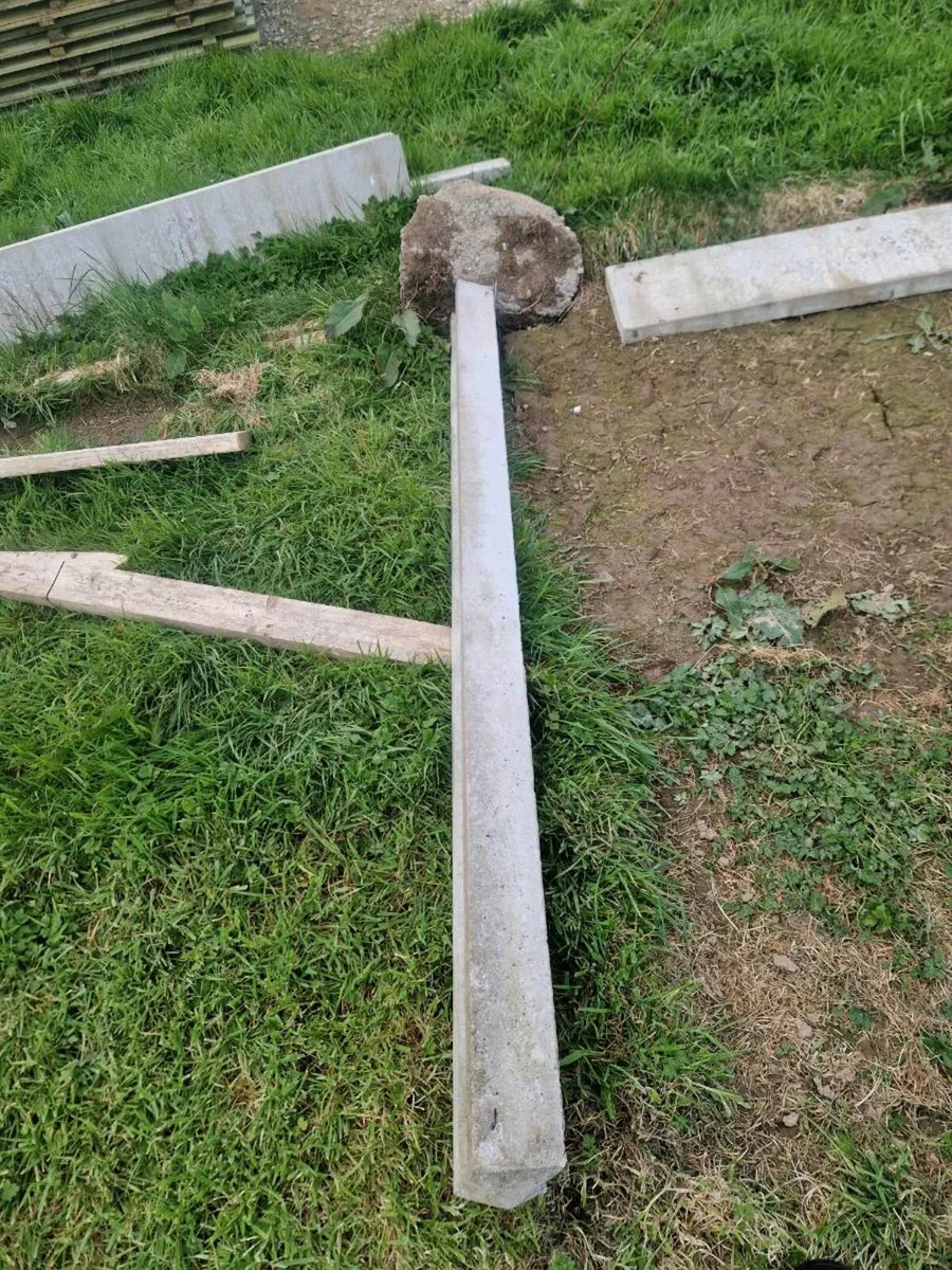 Fence panels - Image 4