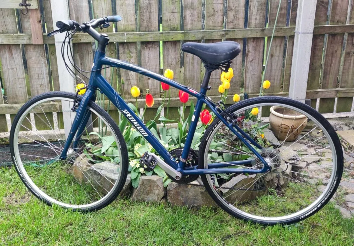 Specialized bike - Image 1