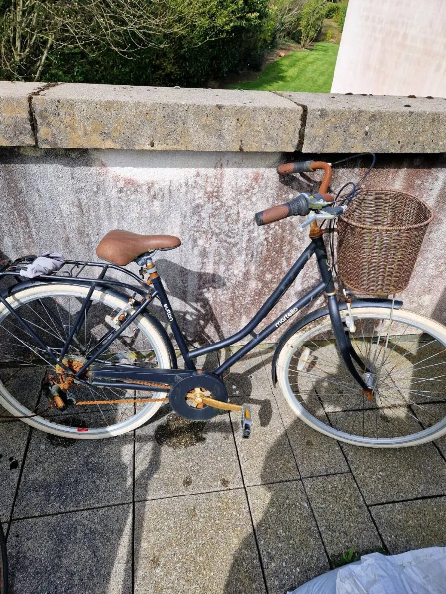 Womens Dutch bike