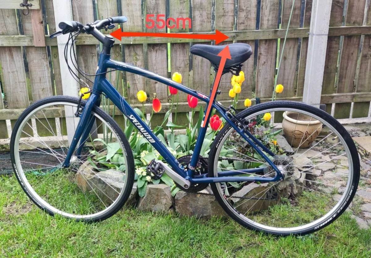 Specialized bike - Image 3