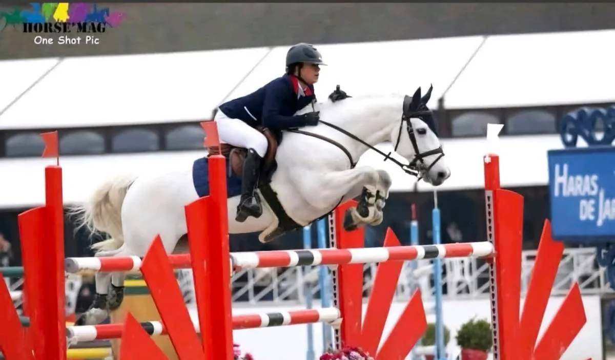 Connemara Stallion at Stud - Image 4